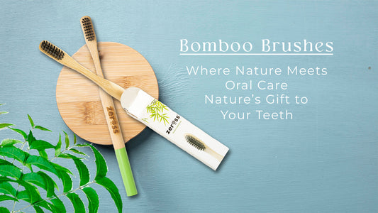 Eco-Friendly Wonder: The Bamboo Brush Zeross Online Store